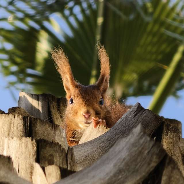 1Sep39の美しい写真による天気予報