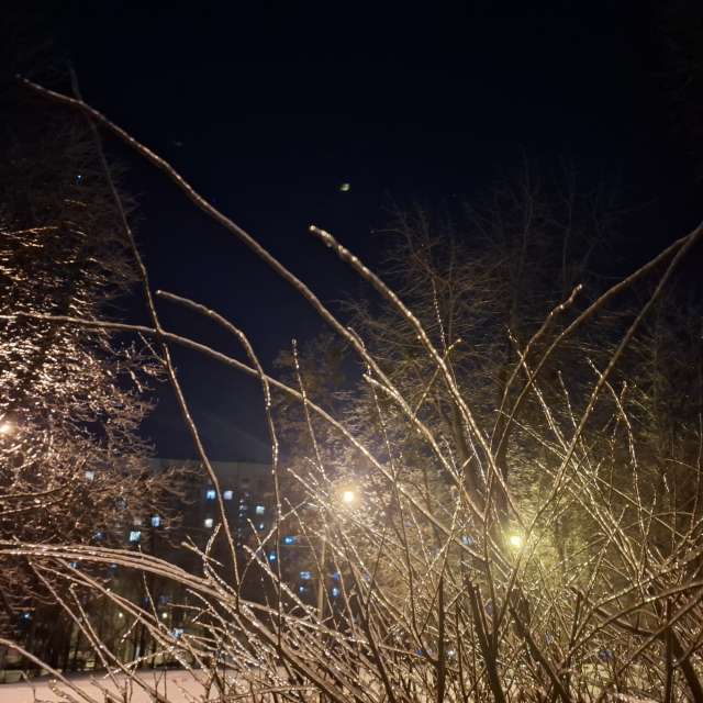 Weather forecasts with beautiful photos by Iryna