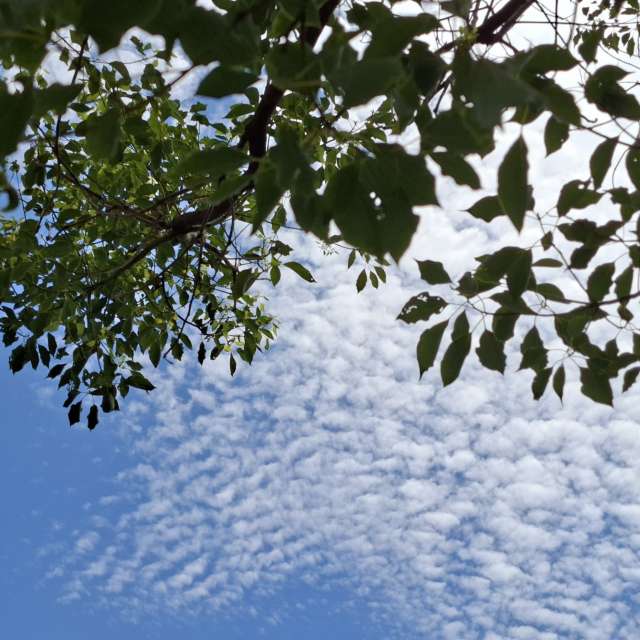 Photos Marche. Prévisions météo avec de superbes photos de Wen-ya Huang de Kaohsiung