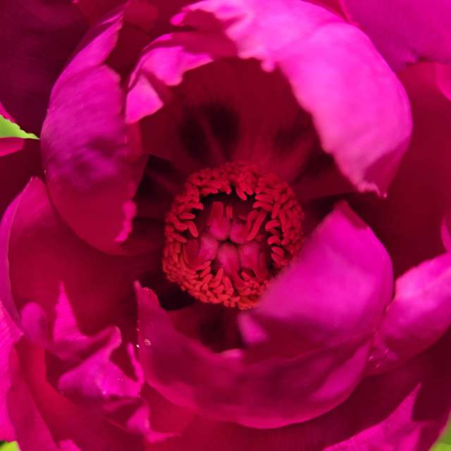 Prévisions météo avec de superbes photos de Jessica_A