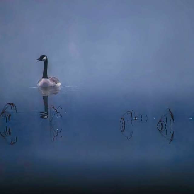 Weather forecasts with beautiful photos by Bill Schmid