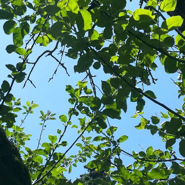 Sitzung. Wettervorhersagen mit schönen Fotos von Muschelschloss Fotos Bayern