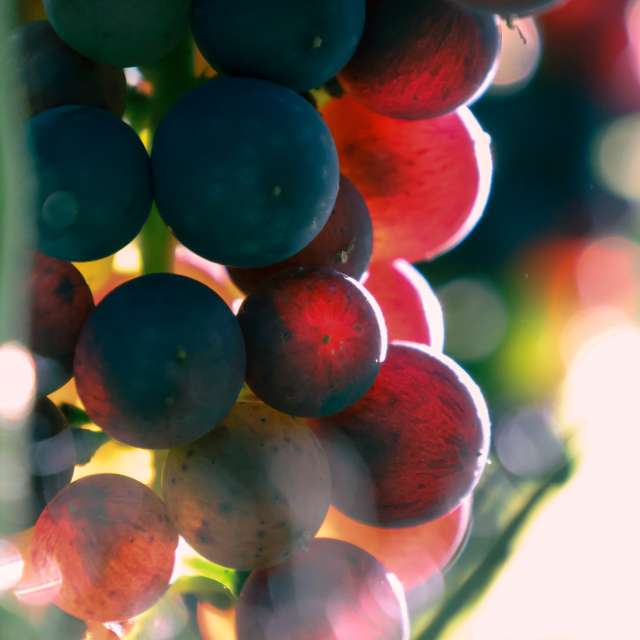 Weather forecasts with beautiful photos by _feela