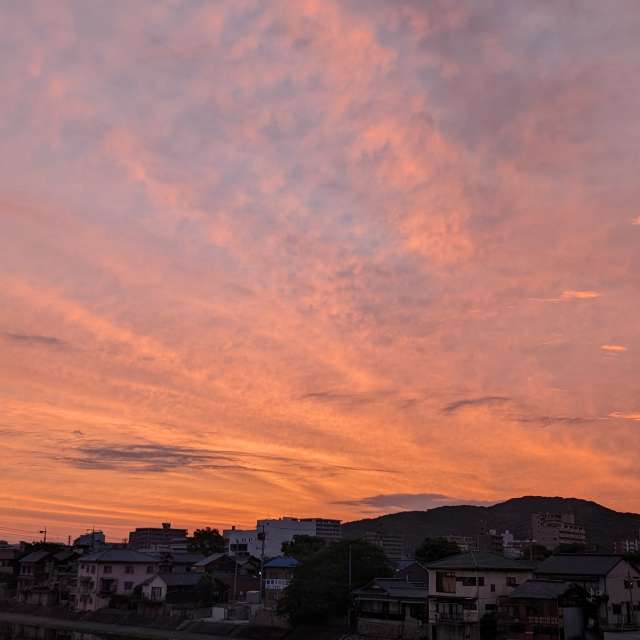 Orange. Weather forecasts with beautiful photos by あさのジジ Photos in Okayama