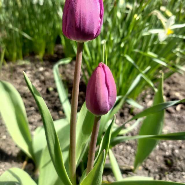 世界的天气照片. 天气预报，带Lara357精美的照片