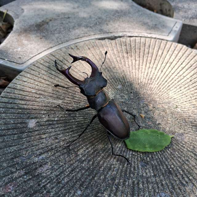 Weather forecasts with beautiful photos by urashm