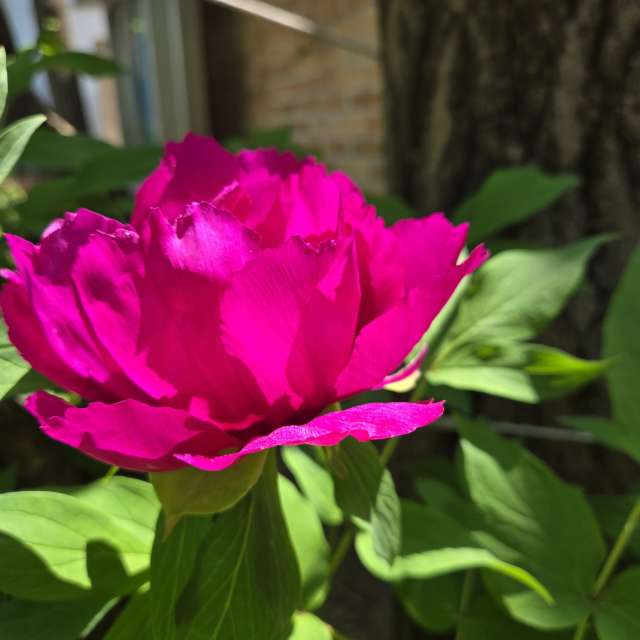 Prévisions météo avec de superbes photos de Jessica_A