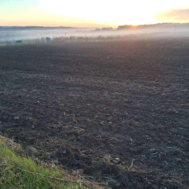 Weather forecasts with beautiful photos by urashm