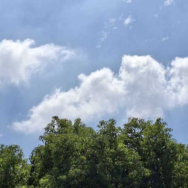 Lot. Weather forecasts with beautiful photos by Wen-ya Huang Photos in Kaohsiung City