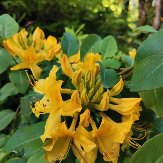 Stehen. Wettervorhersagen mit schönen Fotos von Albert_Smelovtsev Fotos Roza Khutor