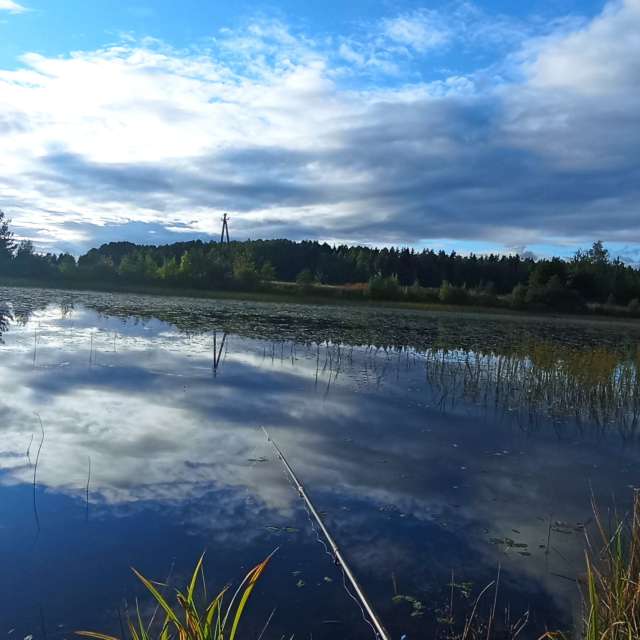 Overlooking. Weather forecasts with beautiful photos by Valiukas Photos in Lithuania