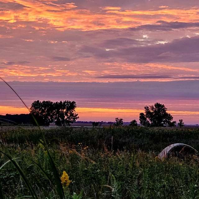 Jd2024の美しい写真による天気予報