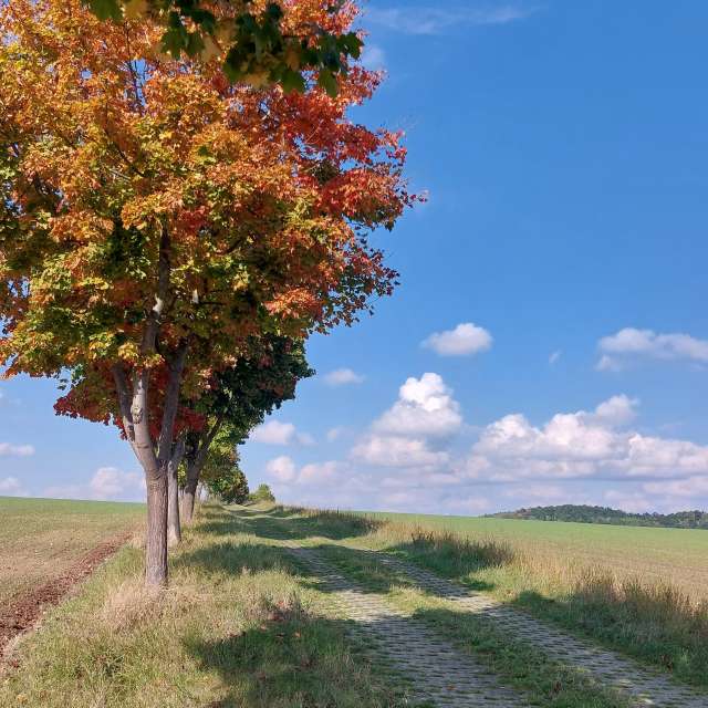 Previsões do tempo com lindas fotos de MaLou