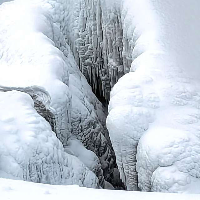 Bear. Weather forecasts with beautiful photos by donsmith755 Photos in World