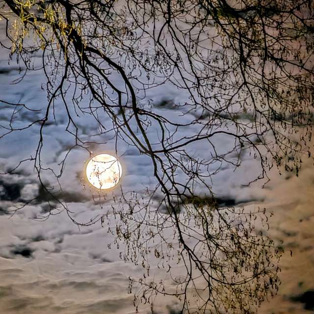 Photos Banc. Prévisions météo avec de superbes photos de Miloš_SK de Sereď