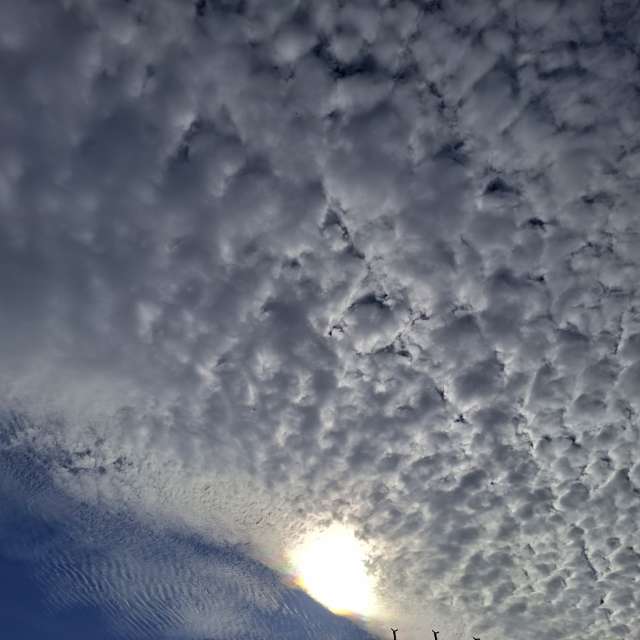 Wave. Weather forecasts with beautiful photos by Wen-ya Huang Photos in Kaohsiung City