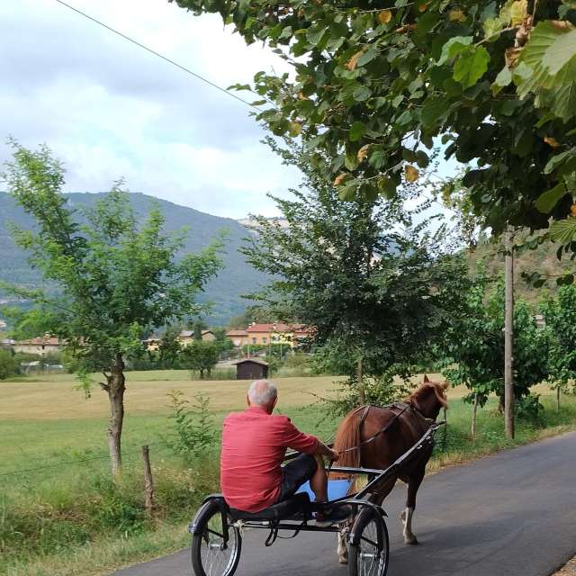 Weather forecasts with beautiful photos by Emanuele Manu Ventura
