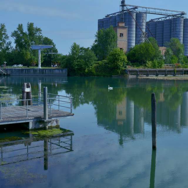 天气预报，带loris-b精美的照片