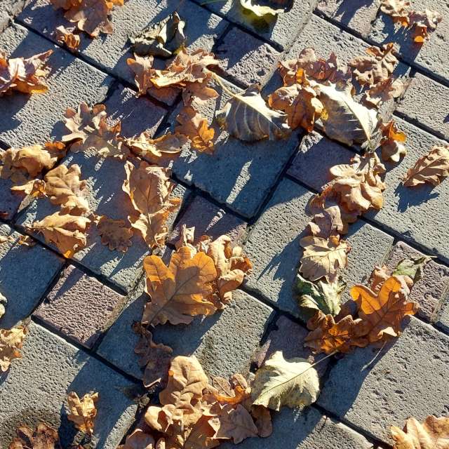 Lie. Weather forecasts with beautiful photos by Iryna Photos in Kharkiv