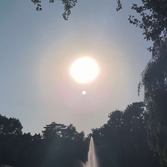 Fotos del De viaje. Pronósticos del tiempo con hermosas fotos de YanBog en București