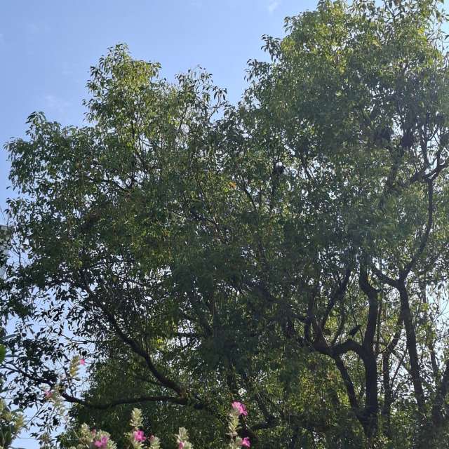 Lot. Weather forecasts with beautiful photos by Wen-ya Huang Photos in Kaohsiung City