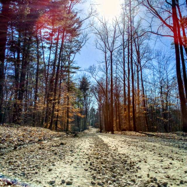 Previsões do tempo com lindas fotos de eilertannunaki