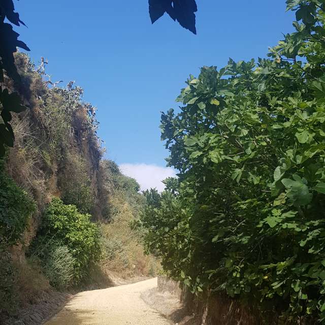 Weather. Weather forecasts with beautiful photos by deliagt Photos in Arcos de la Frontera