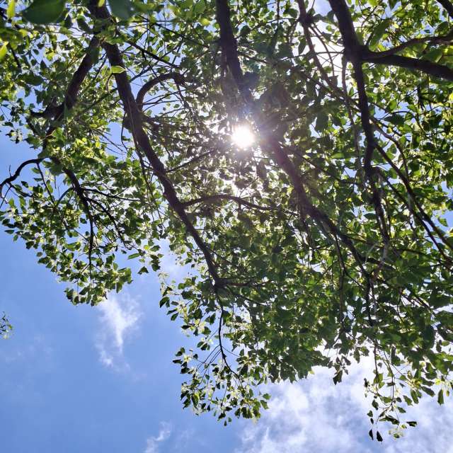 Photos Banc.banc. Prévisions météo avec de superbes photos de Wen-ya Huang de Kaohsiung