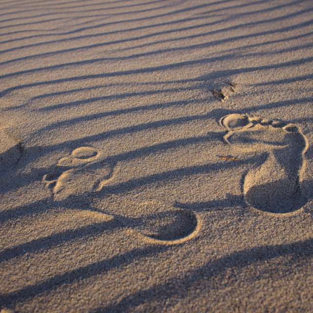 天气预报，带Axys精美的照片