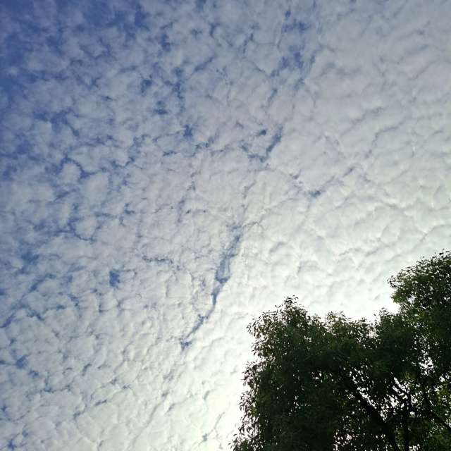 Fotos Jovem. Previsões do tempo com lindas fotos de Wen-ya Huang em Kaohsiung City