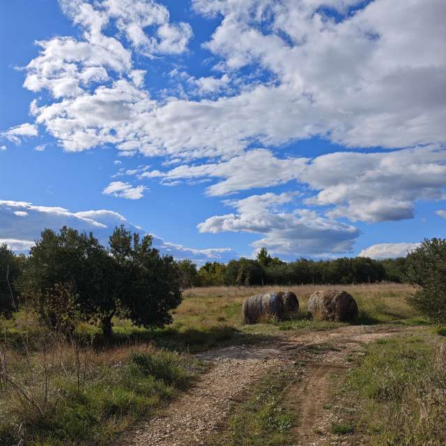 RoncevicRの美しい写真による天気予報