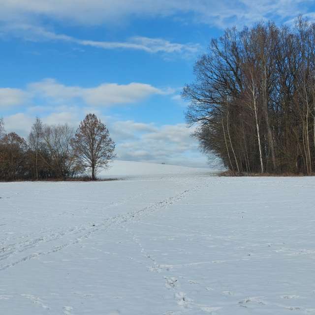 天气预报，带MaLou精美的照片