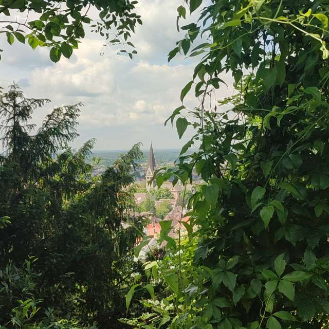 Walking. Weather forecasts with beautiful photos by Tercis Photos in Ettlingen