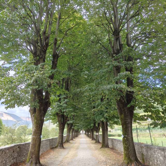 Weather forecasts with beautiful photos by Emanuele Manu Ventura