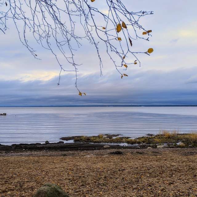 天气预报，带Jea精美的照片