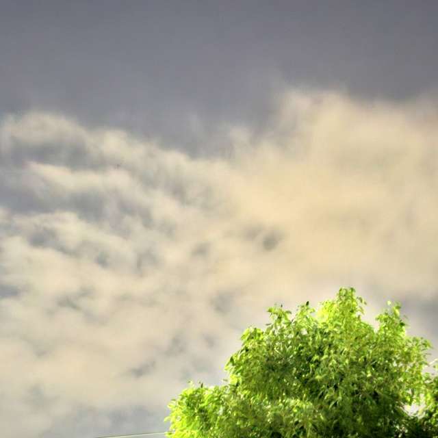 Prévisions météo avec de superbes photos de Wen-ya Huang