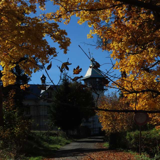 天气预报，带Sviatoslav精美的照片