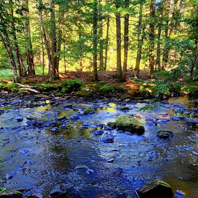 Pronósticos del tiempo con hermosas fotos de Kepi