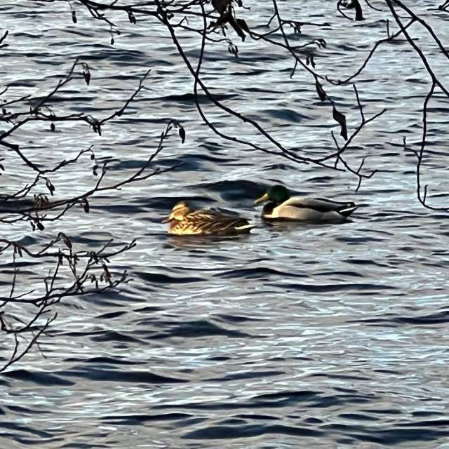Pronósticos del tiempo con hermosas fotos de Fin71