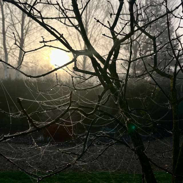 Photos Champ. Prévisions météo avec de superbes photos de Stassy de Teshkovo