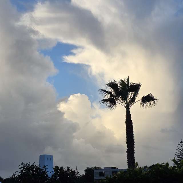 Brtdの美しい写真による天気予報