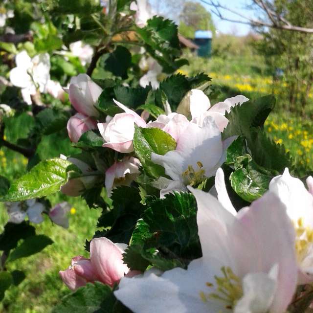 Group. Weather forecasts with beautiful photos by urashm Photos in Khmelnytskyi