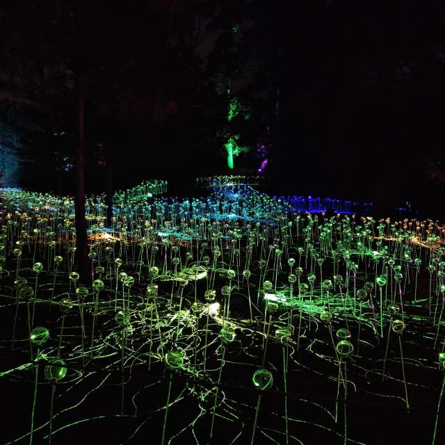 Weather forecasts with beautiful photos by PeterR