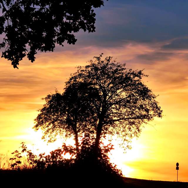 Airplane. Weather forecasts with beautiful photos by Lotti5507 Photos in Stockum