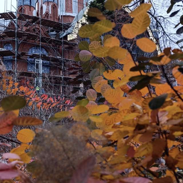 Прогнозы погоды с чудесными фотографиями, сделанными Lena_Glukhova