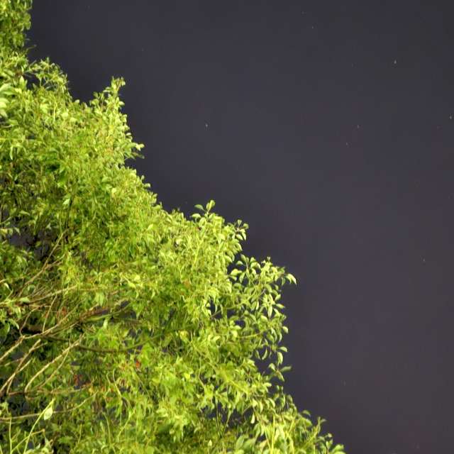 Wettervorhersagen mit schönen Fotos von Wen-ya Huang