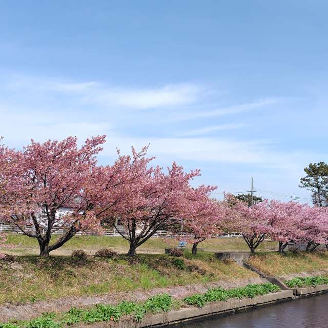 Weather Photos in World. Weather forecasts with beautiful photos by umemui