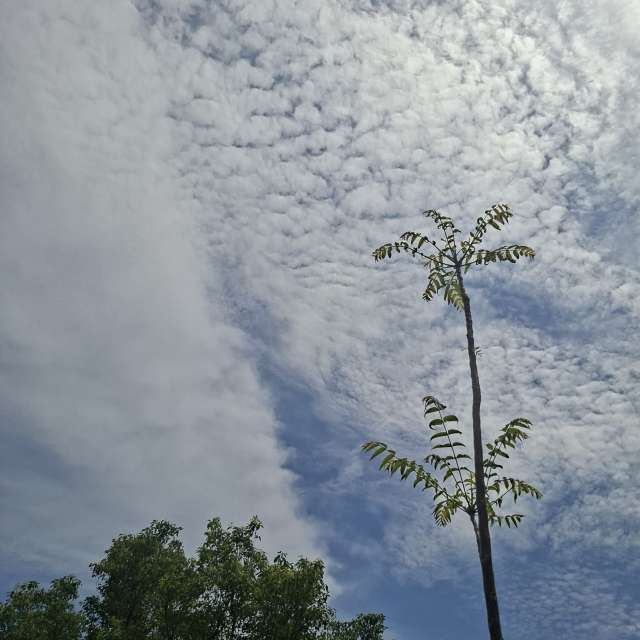 Fotos Cavalgando. Previsões do tempo com lindas fotos de Wen-ya Huang em Kaohsiung City