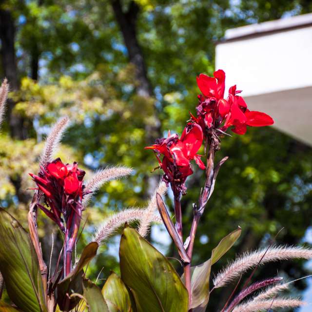 Weather forecasts with beautiful photos by 1stEyeFocused