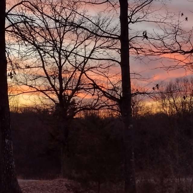 Прогнозы погоды с чудесными фотографиями, сделанными Allisong